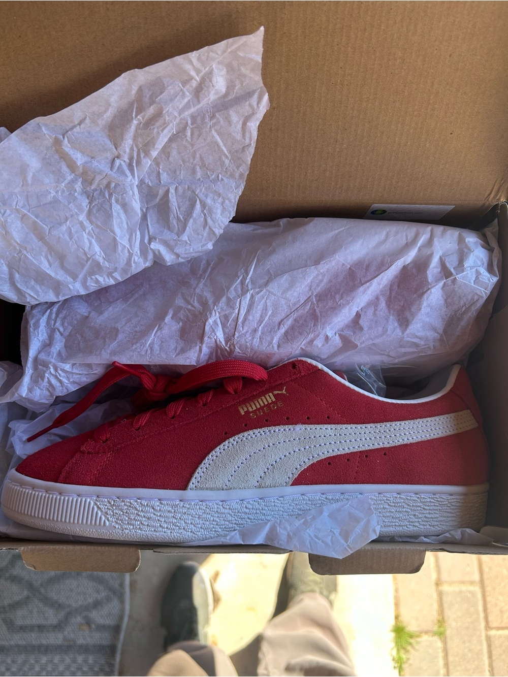 Puma Green Shoe Box with White Puma Logo